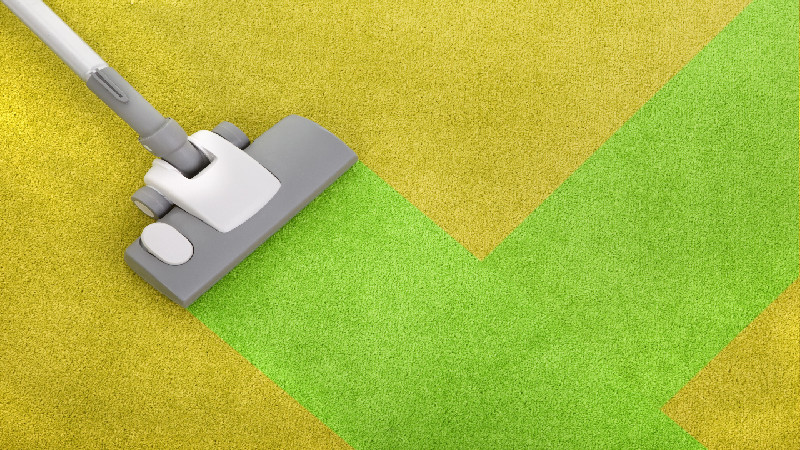 The Benefits of Carpet Cleaners in St Paul MN