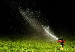Get Your Lawn in the Best Shape Ever with a Lawn Service in Bossier City LA
