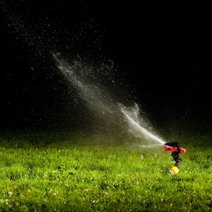 Lawn Service Bossier City LA
