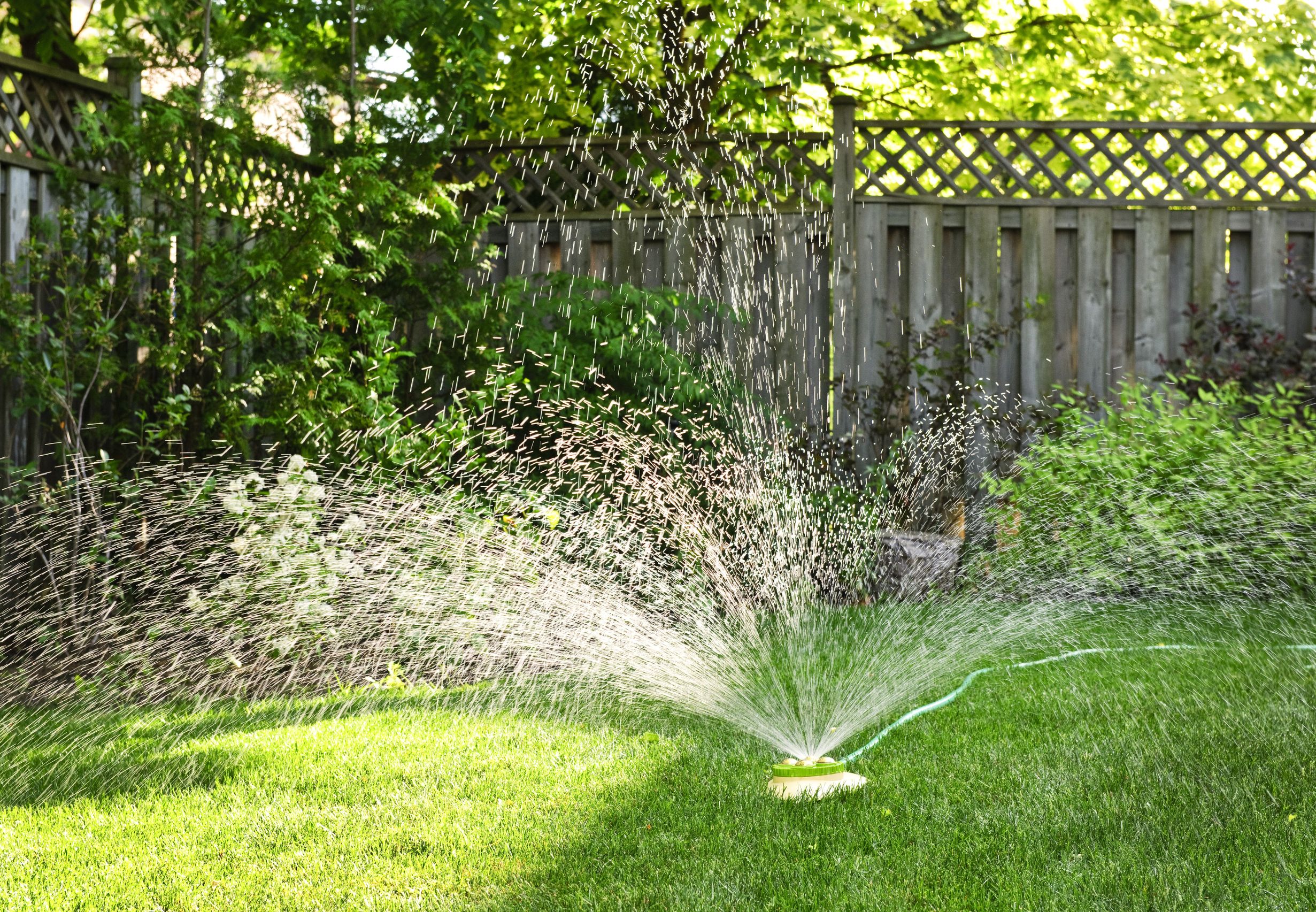 Nurturing Your Landscape, One Tree at a Time: Expert Tree Services in Aurora, IL