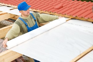 Roof System
