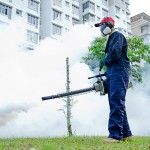 wildcatexterminating.com