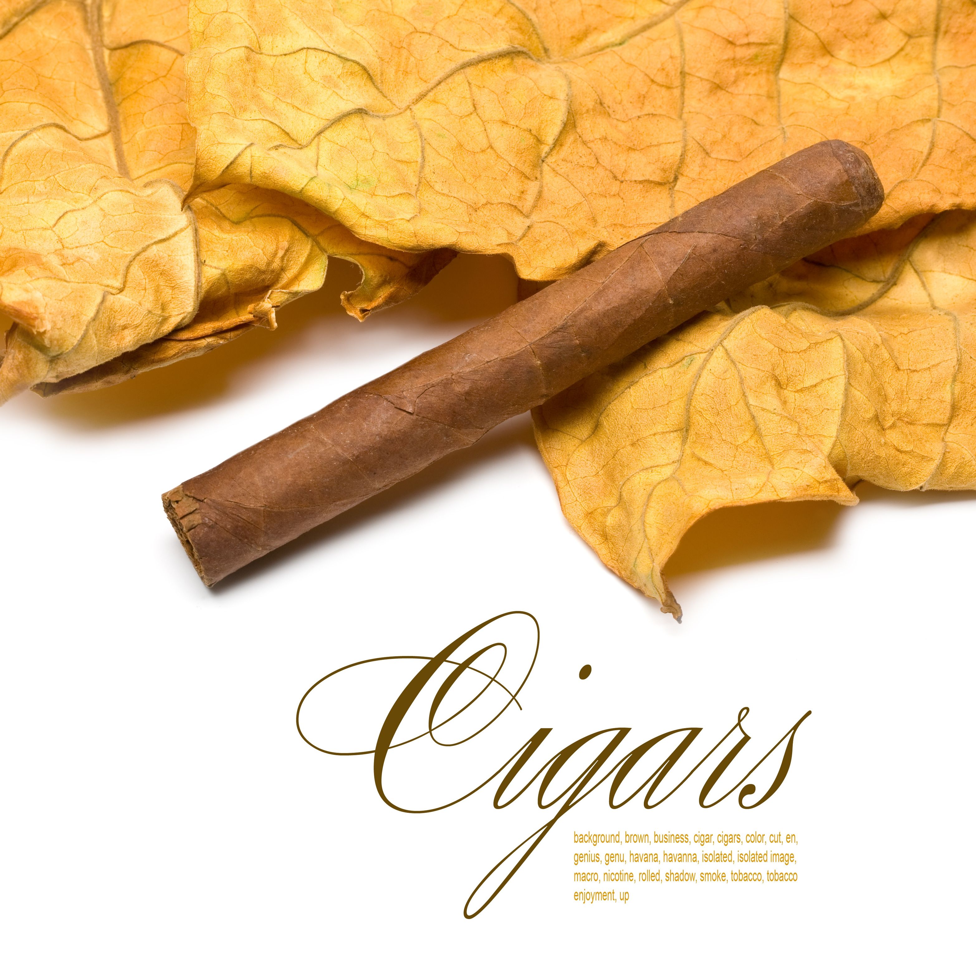 Helpful Tips for Placing Your First Online Cigar Order in the UK