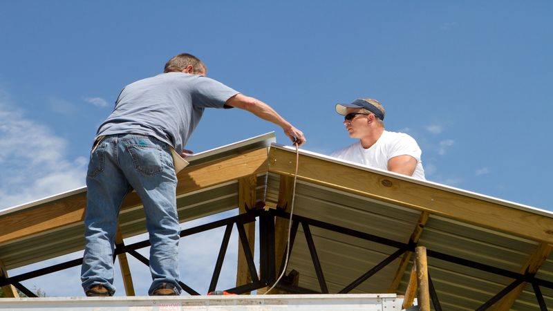 Professional Roof Cleaning Services: Your Roof Might Be Dirtier Than First Suspected