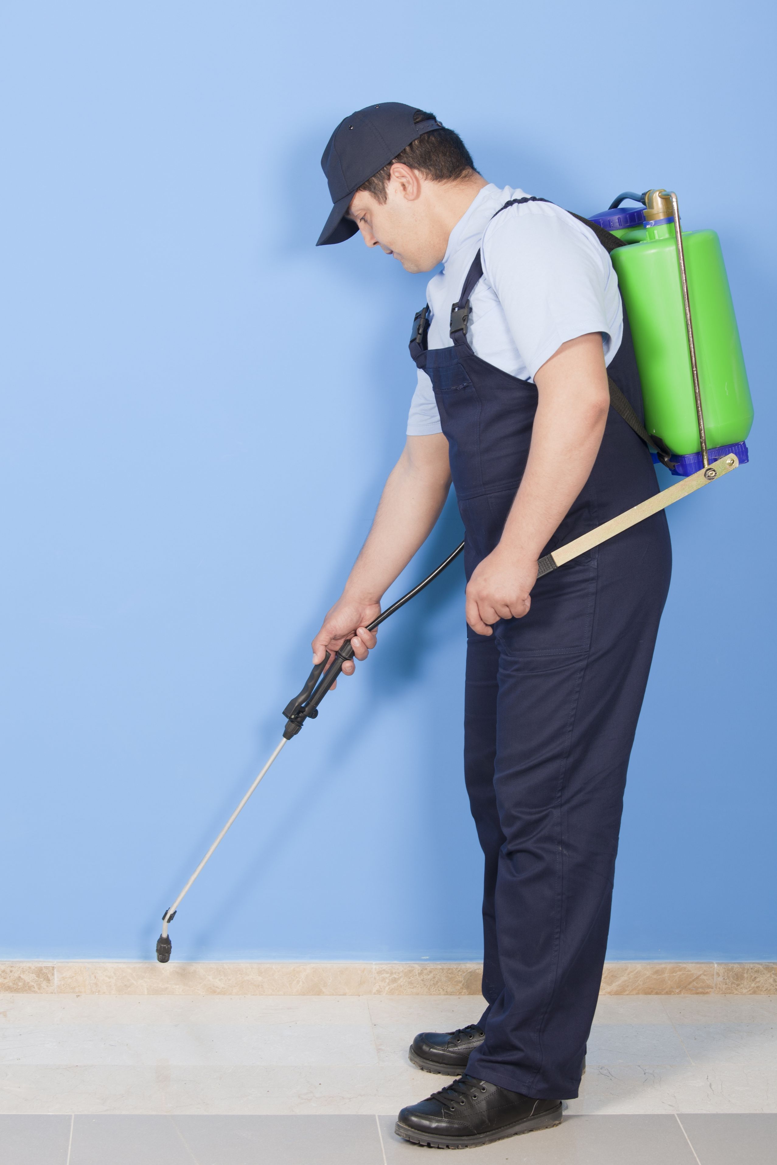 Choosing An Exceptional Pest Control Service