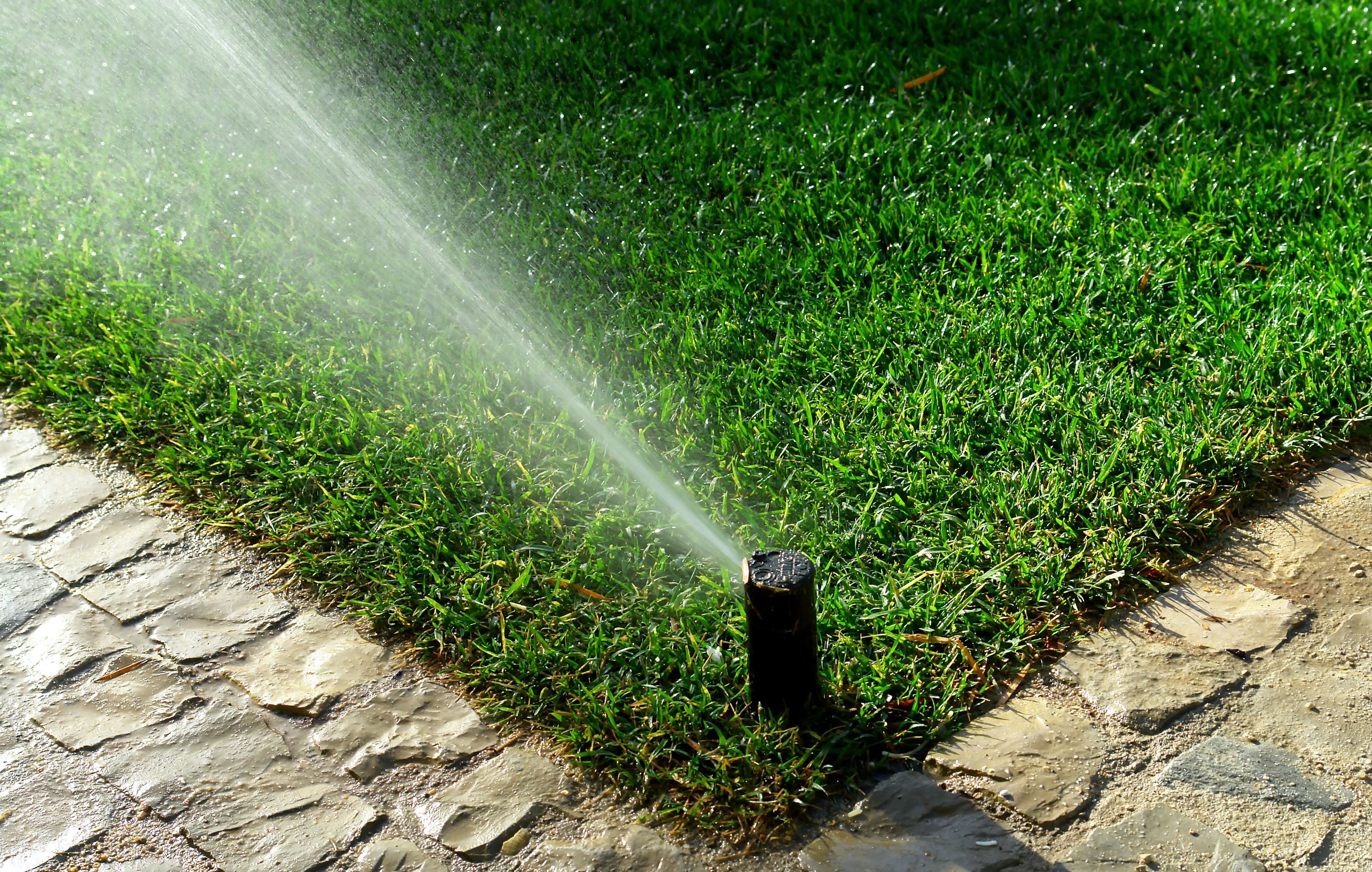 Grass Dying? Call for Sprinkler System Repair in Broomfield, CO