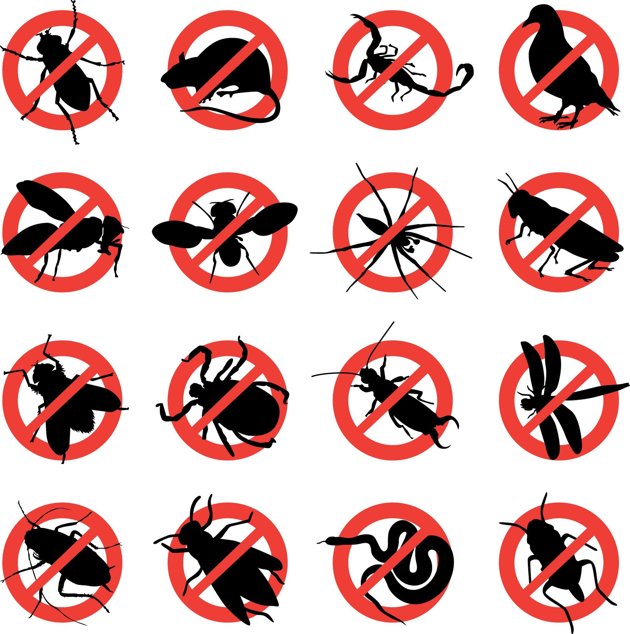 The Most Effective Rodent Control in Sacramento CA