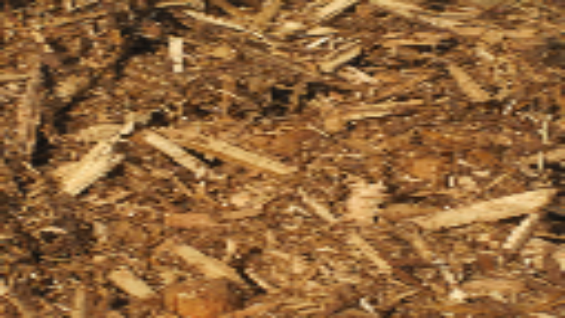 Items to Consider When Shopping for Mulch in Waukesha, WI