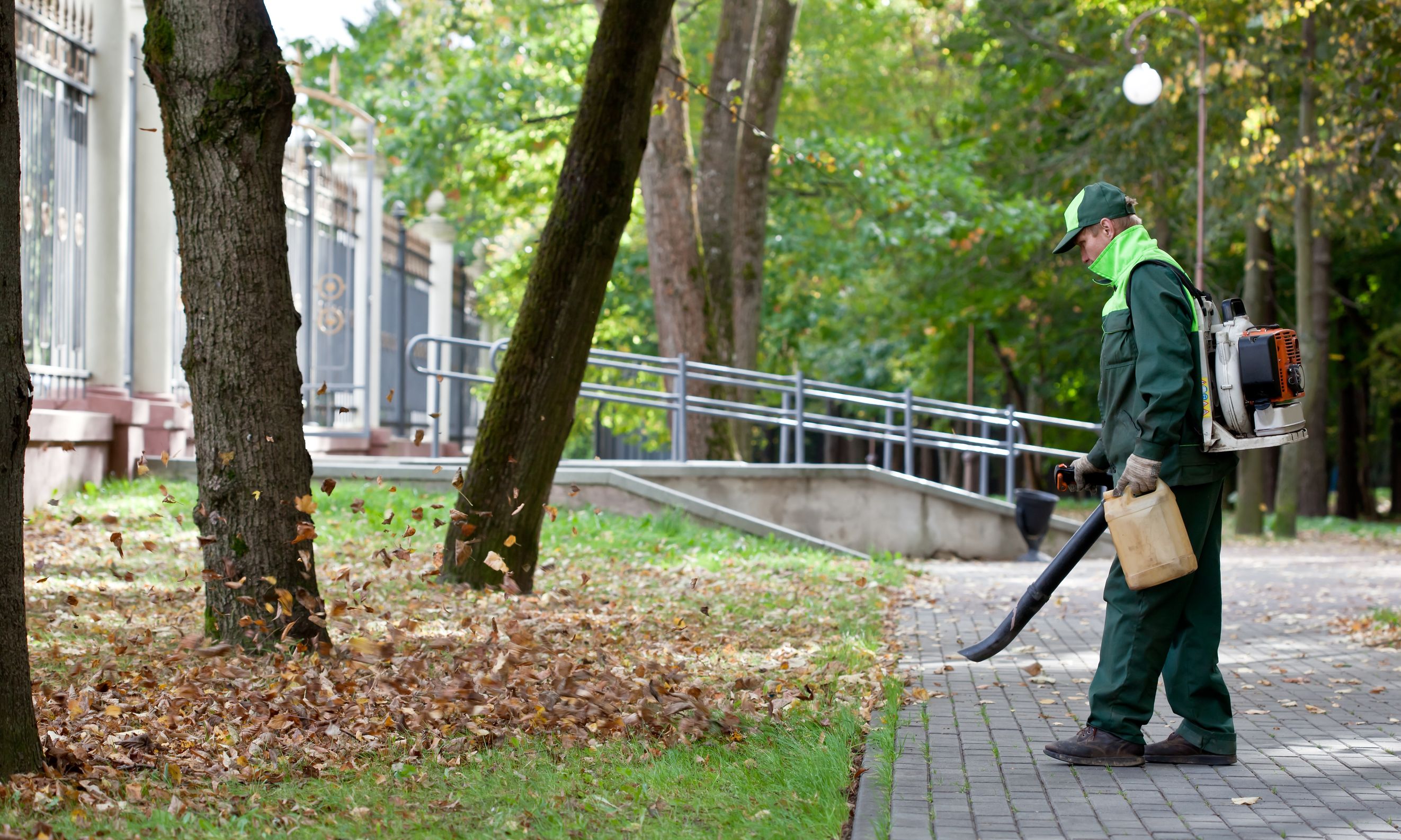 Fall Leaf Clean Up in Boulder, CO: Keeping Lawns Healthy