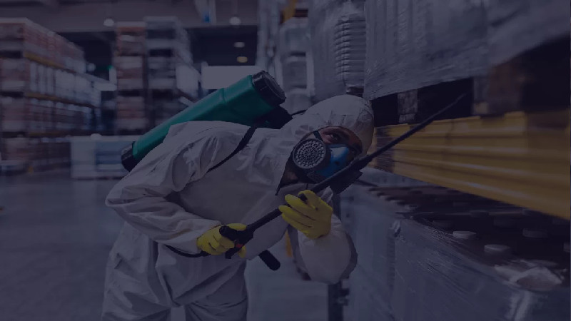 The benefits of building and pest inspections