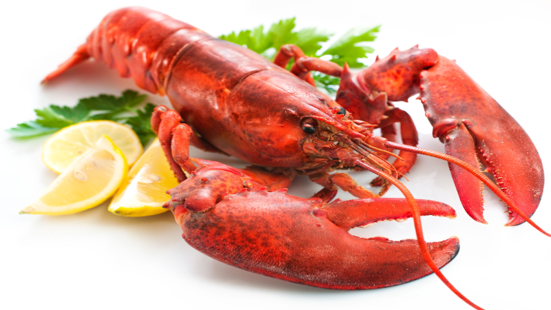 Miami-Dade County Area Businesses Opt for Fresh Seafood Distribution Deals