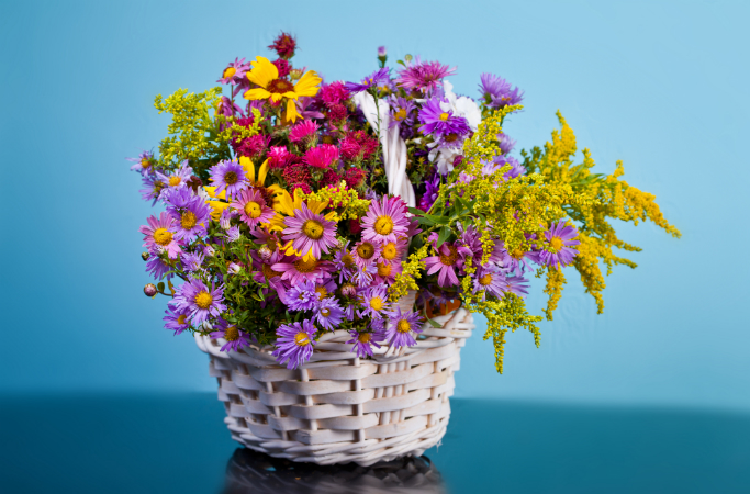 Send Flowers to Loved Ones in Mumbai