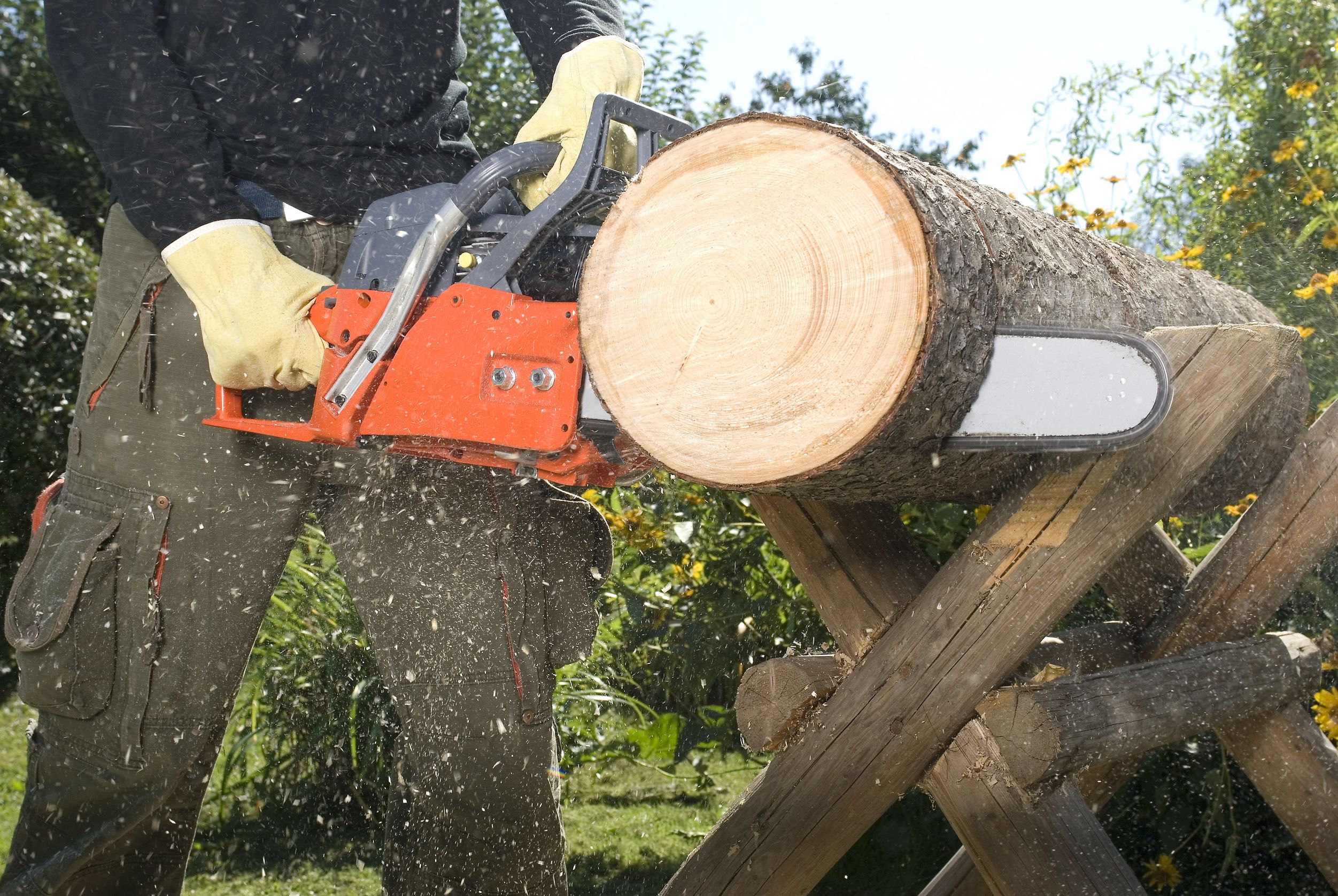 Keep Your Yard Safe with Tree Removal in Fairfield Connecticut