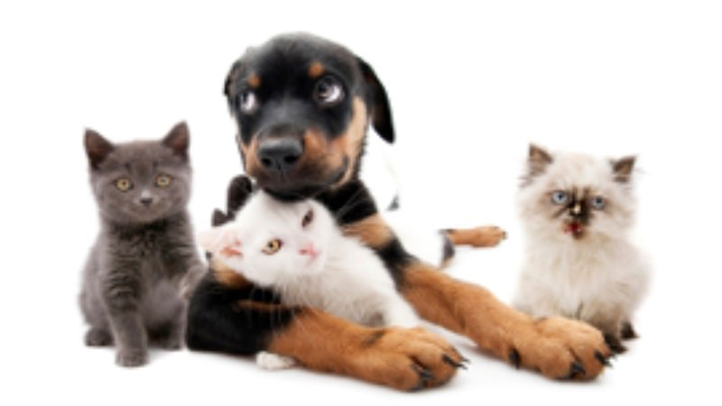 4 Ways You’ll Know It’s Time To Say Goodbye