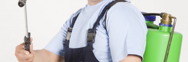 Effection Roaches Extermination Performed By A Professional