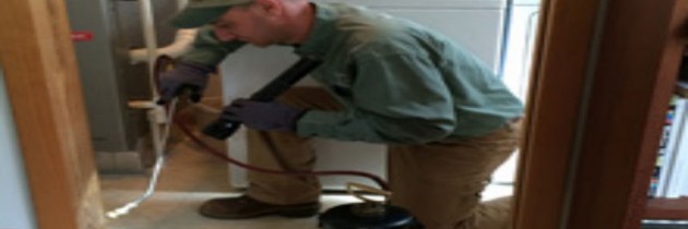 Professional Pest Control Services in Wellington Florida Combats Pests Effectively