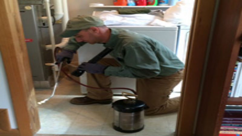 Professional Pest Control Services in Wellington Florida Combats Pests Effectively