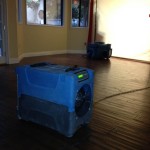 Protect Your Home from Mold with Water Damage Restoration Blaine Experts