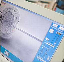 Potential Benefits of Egg Freezing in San Antonio, TX