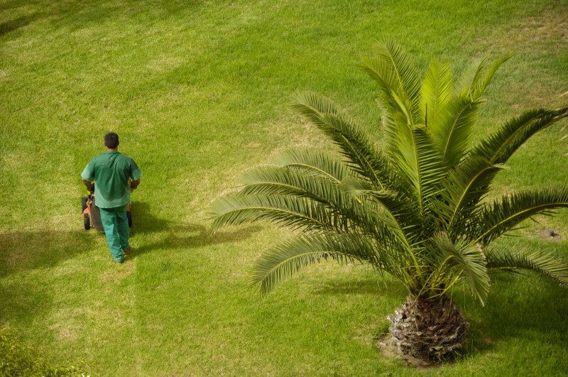 Frequently Asked Questions About Lawn Care In Milwaukee