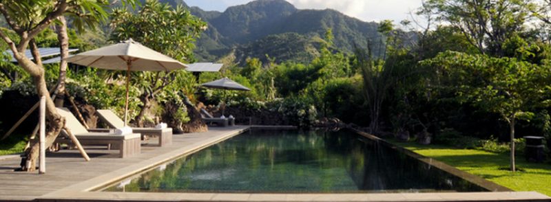 Professional Residential Landscaping in Kihei