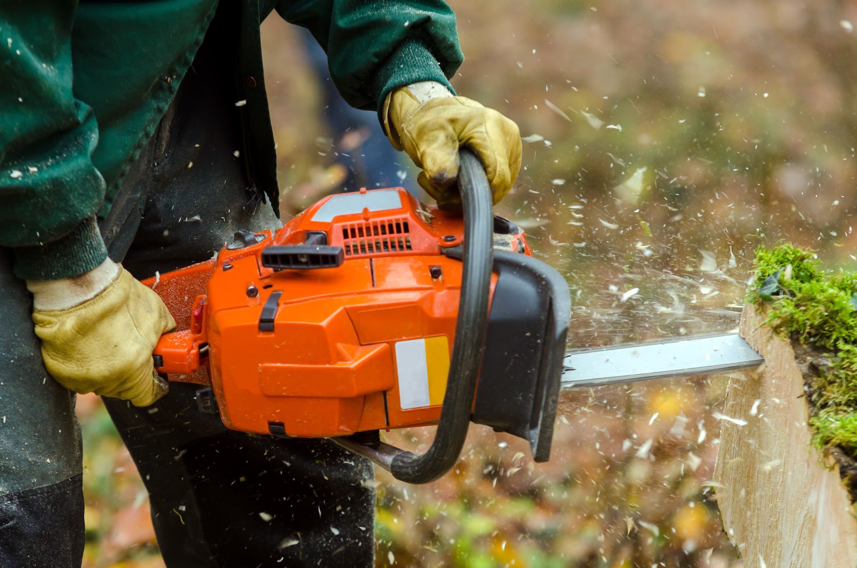 Why Hire Professional Stump Grinding Services in Arlington?