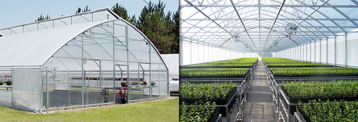 Pro Tips for Commercial Greenhouse Management