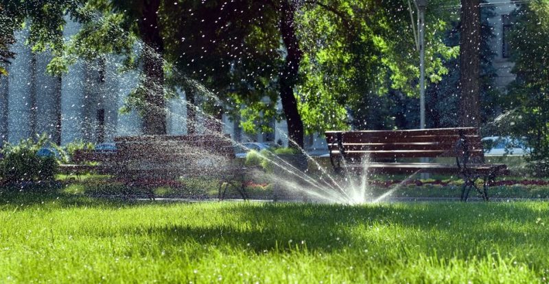 Save Time, Money, and Water With a Sprinkler System in Maui