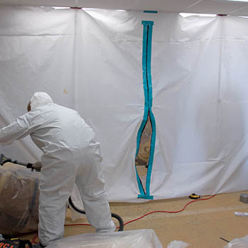 Why Homeowners Rely on Pest Management Services in Ashburn, VA for Mold Removal