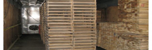 Second Hand Pallets in Wisconsin Make Sense