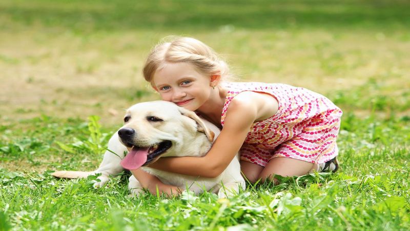 Searching for the Best Pet Sitters in Omaha, NE? Consider a Pet Resort