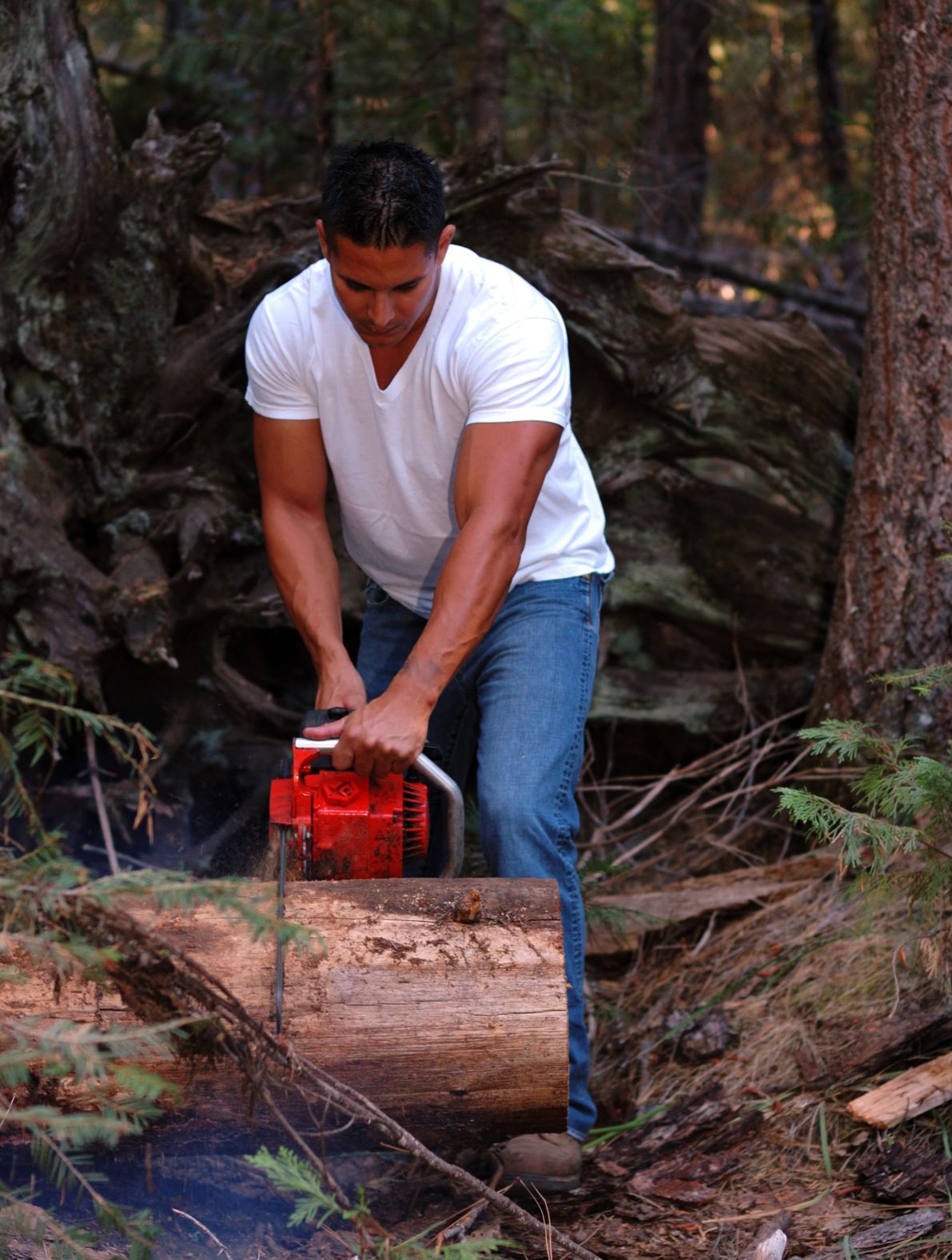 3 Common Signs You May Need a Tree Removal in Fairfield Connecticut