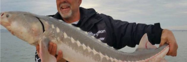 Why You Should Consider Delta Fishing in Oakley, California