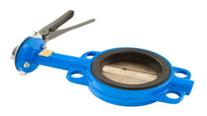 Looking for Assistance from Valve Distributors