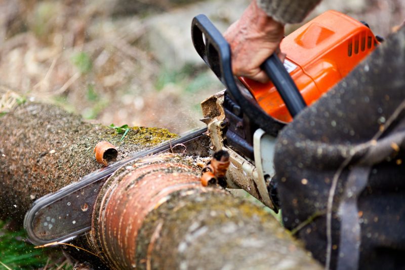 A Homeowner Can Use A Somerville Tree Removal Service For A Variety Of Reasons