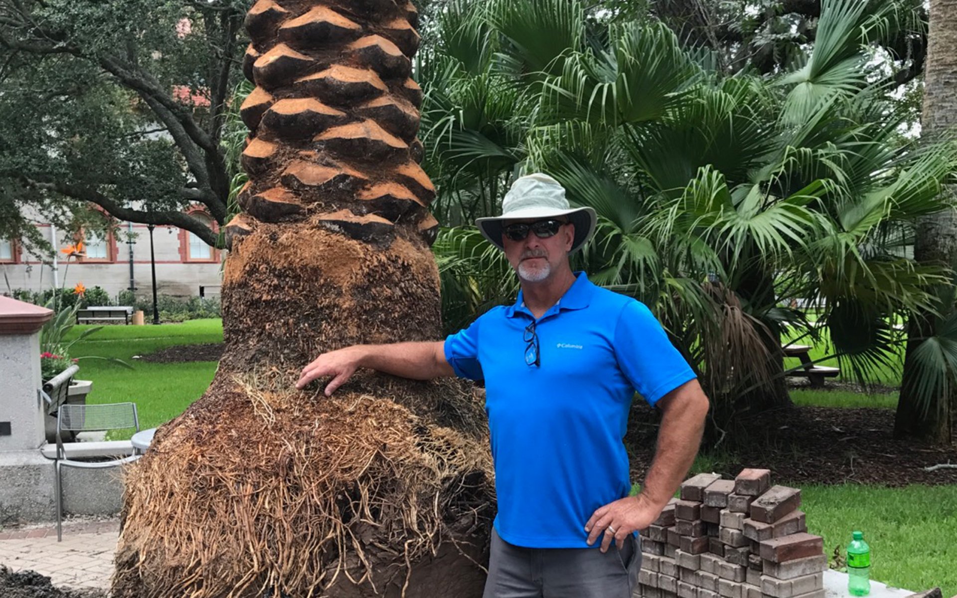 Tree and Shrub Removal in St. Augustine, FL Should Always Be Trusted to the Experts