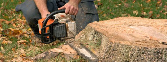 Utility Installation in Sandpoint, ID: Ensuring Reliable Connections for Homes and Businesses