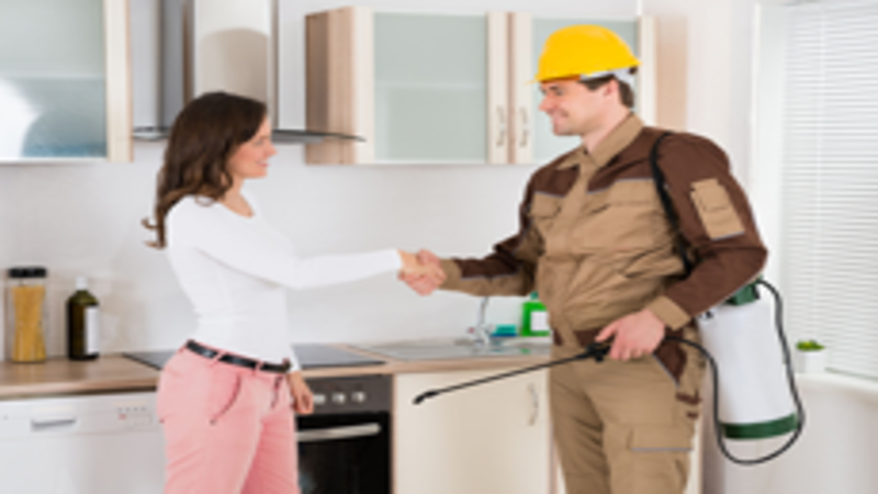 The Benefits of Hiring a Residential Pest Control in Mililani Company