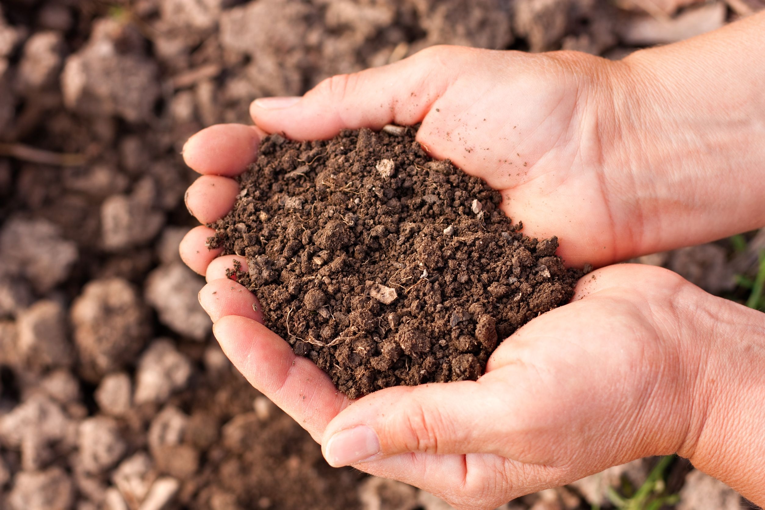 Top-Notch Organic Compost in Houston, TX, Is Easy to Find and Very Affordable