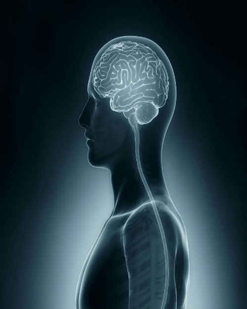 Benefits That You Can Reap From Being A Radiologic Technologist