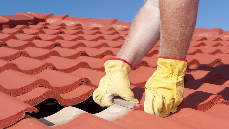 Here’s What You Need to Know About Roof Rot and How to Prevent It