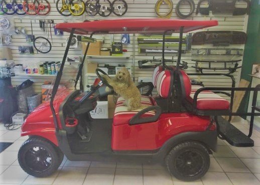 Well-Made Golf Carts in Sun City Center Are Less Expensive Than You Think