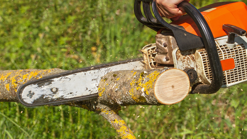 Transform Your Property with the Best Land Clearing Contractor in Hayden, ID