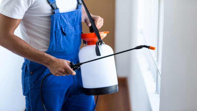 Methods of Termite Control in Morrow, GA