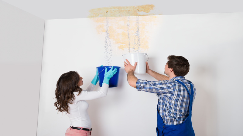 Where to go For Decorative Wall Grilles in Bradenton, FL