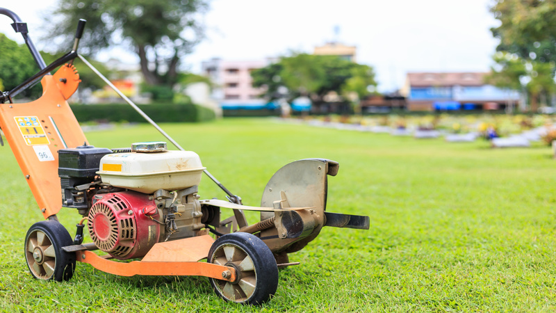 Your Summer Lawn Care in Whitefish Bay Begins in Early Spring