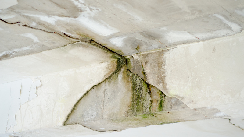 Outsourcing Your Water Damage Cleanup in Lee County, FL, to Restoration Pros