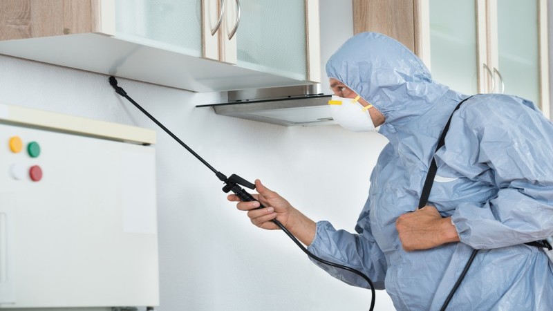 Effective Pest Control in Plymouth County MA: Protect Your Home Now