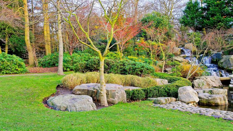 Tips for Hiring the Best Residential Landscaping in Ellicott City MD
