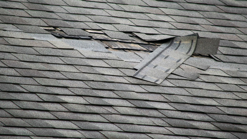 When To Replace or Ask For Roof Repair Port Townsend